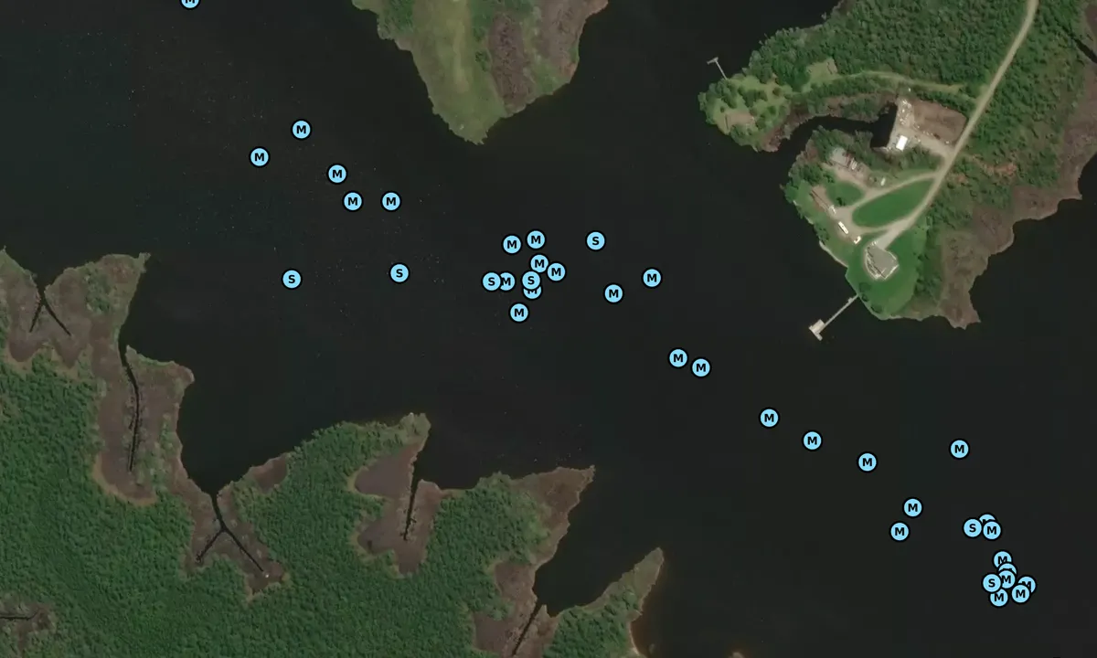 Satelite image of Bear Creek