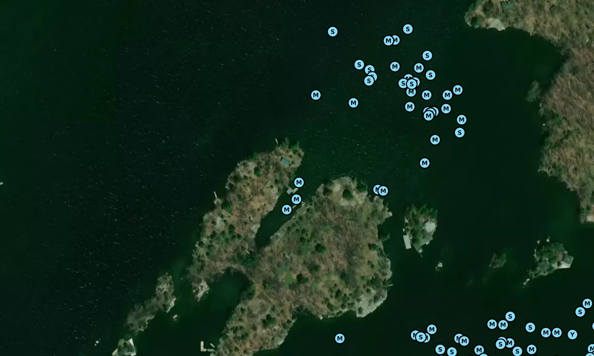 Satelite image of Beau Rivage Island - Northeast Dock (Parks Canada)