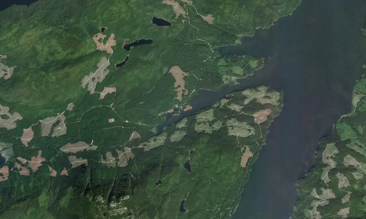 Flyfoto av Beaver Inlet