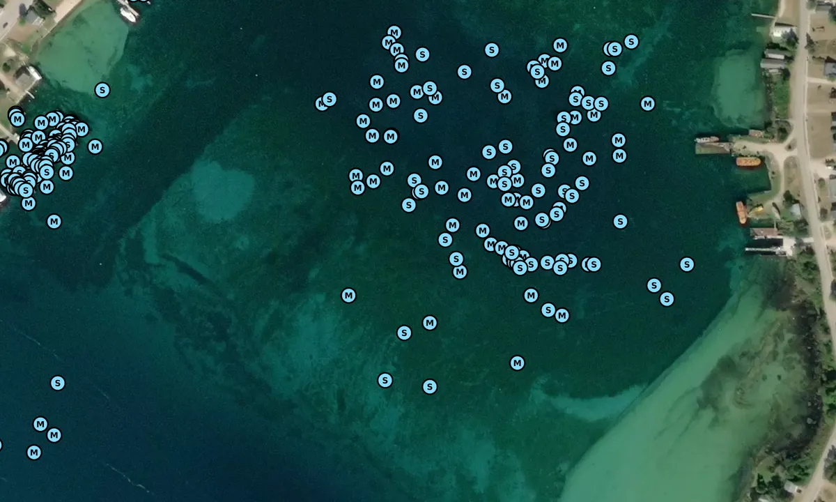Satelite image of Beaver Island Bay