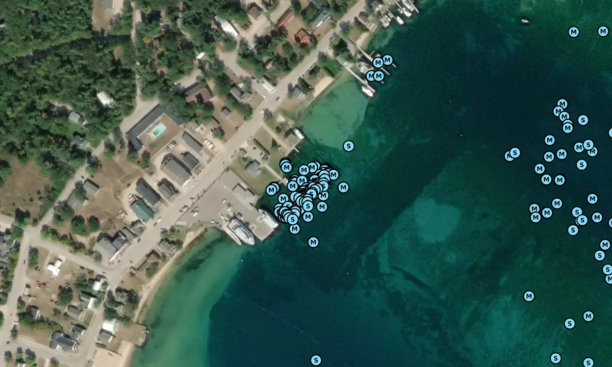 Satelite image of Beaver Island Municipal Docks