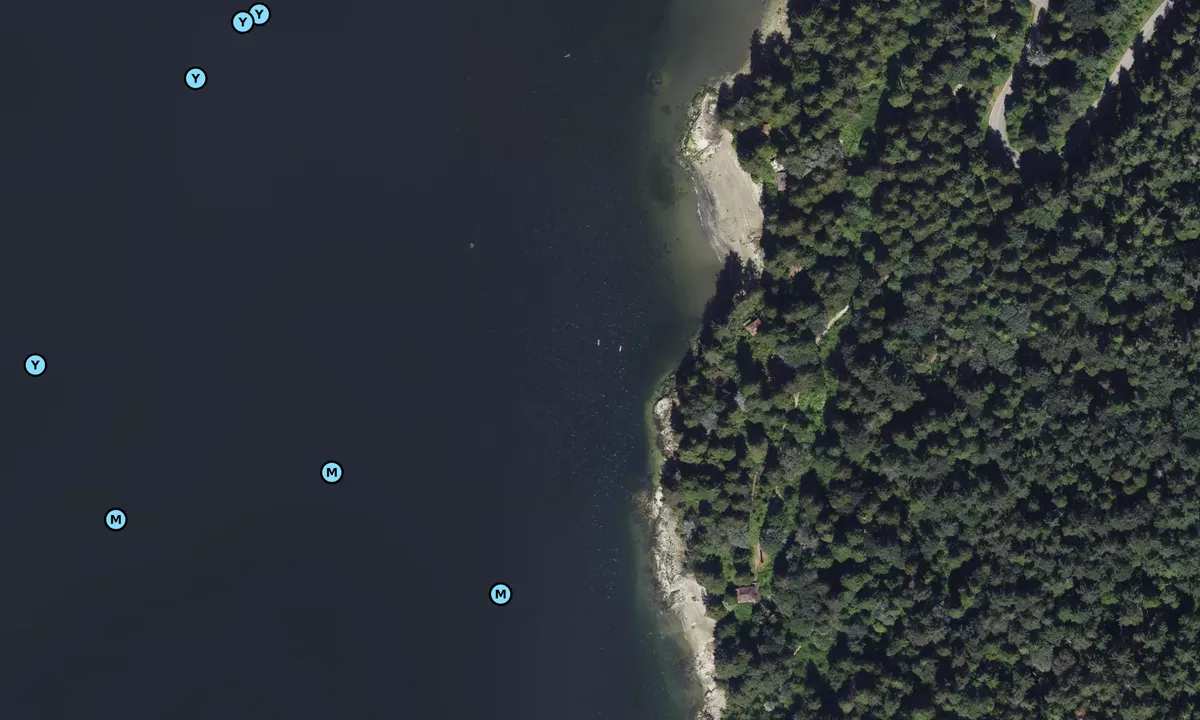 Satelite image of Belcarra