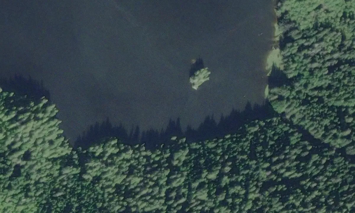 Satelite image of Belleisle Sound