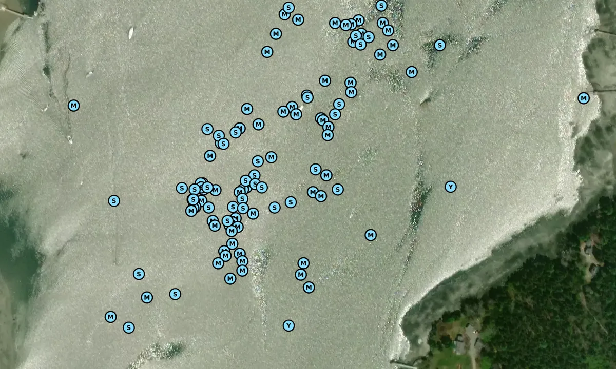 Satelite image of Benjamin River