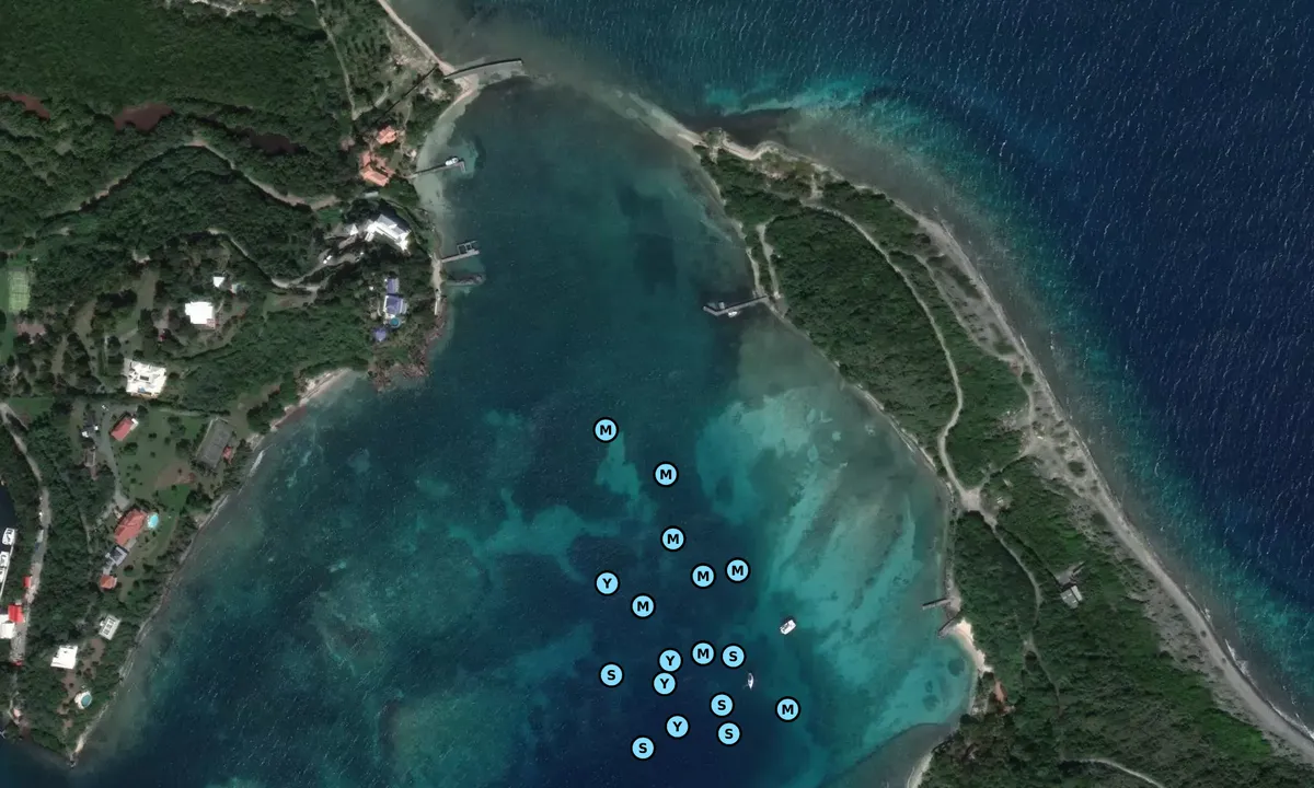 Satelite image of Ber bay