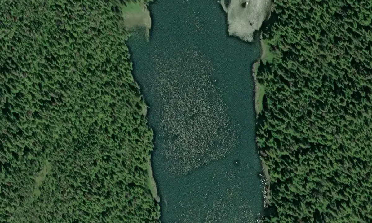 Satelite image of Berg Bay 1