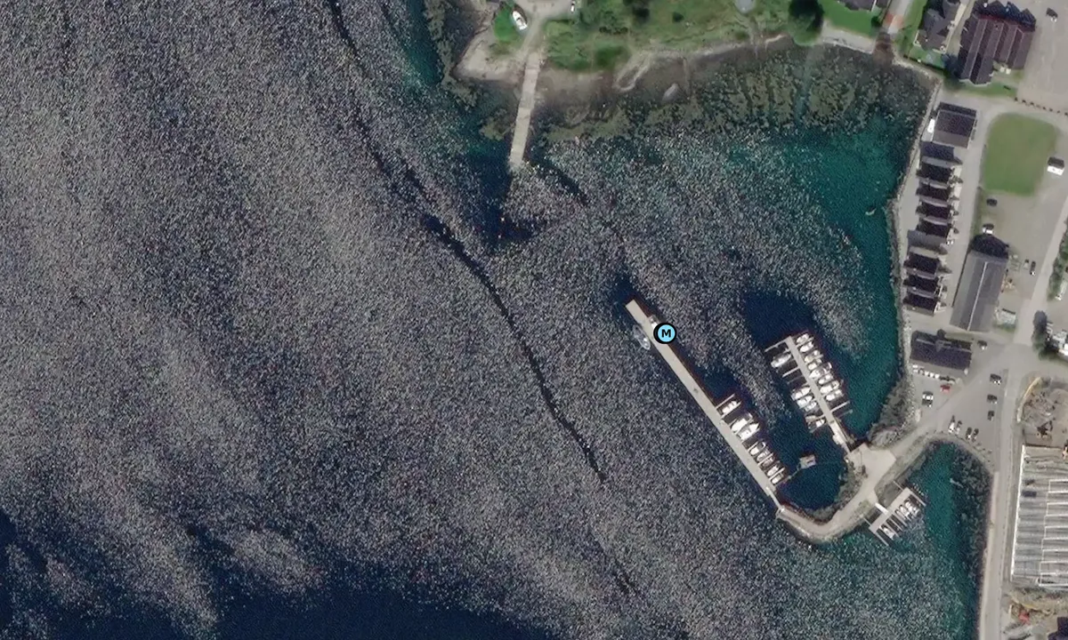 Satelite image of Berg Marina