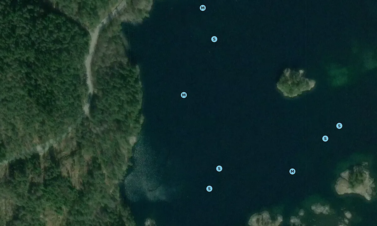 Satelite image of Bergavika - Smalasundet