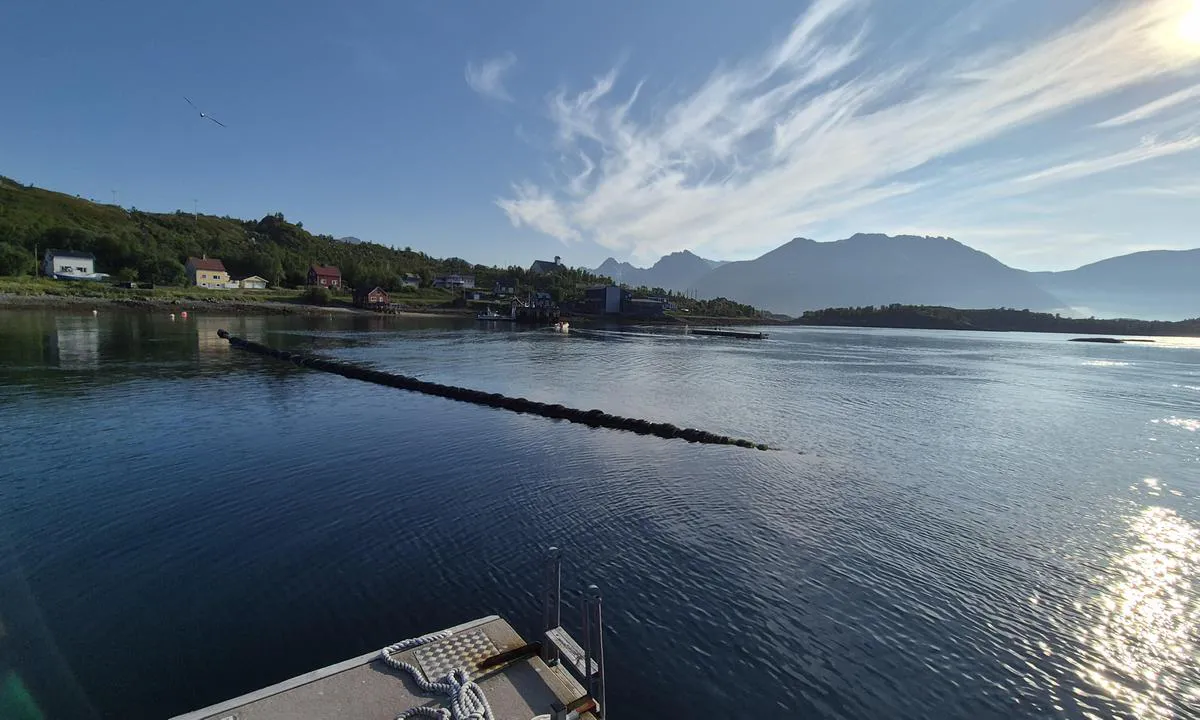Bergsfjord: {"base": "no", "no": "En b\u00f8lgebryter i et r\u00f8r m bildekk rundt. Svart, s\u00e5 v\u00e6r obs i m\u00f8rket.", "se": "En v\u00e5gbrytare i ett r\u00f6r med bild\u00e4ck runt. Svart, s\u00e5 var uppm\u00e4rksam i m\u00f6rkret.", "en": "A breakwater with tires around a pipe. Black, so be alert in the dark.", "da": "En b\u00f8lgebryder i et r\u00f8r med bild\u00e6k rundt. Sort, s\u00e5 v\u00e6r opm\u00e6rksom i m\u00f8rke.", "fr": "Un brise-lames en tube avec des pneus autour. Noir, donc soyez vigilant dans l'obscurit\u00e9.", "de": "Ein Wellenbrecher in einem Rohr mit Autoreifen drum herum. Schwarz, also achten Sie im Dunkeln darauf.", "es": "Un rompeolas en un tubo con neum\u00e1ticos alrededor. Negro, as\u00ed que presta atenci\u00f3n en la oscuridad.", "it": "Un frangiflutti in un tubo con copertoni attorno. Nero, quindi fai attenzione al buio.", "pt": "Um quebra-mar em um tubo com pneus de carro ao redor. Preto, portanto, tenha aten\u00e7\u00e3o no escuro.", "nl": "Een golfbreker in een buis met autobanden rondom. Zwart, dus wees opmerkzaam in het donker.", "pl": "Falochron w formie rury z oponami wok\u00f3\u0142. Czarne, wi\u0119c uwa\u017caj po zmroku.", "uk": "\u0425\u0432\u0438\u043b\u0435\u0440\u0456\u0437 \u0432 \u0442\u0440\u0443\u0431\u0456 \u0437 \u0430\u0432\u0442\u043e\u043c\u043e\u0431\u0456\u043b\u044c\u043d\u0438\u043c\u0438 \u0448\u0438\u043d\u0430\u043c\u0438 \u043d\u0430\u0432\u043a\u043e\u043b\u043e. \u0427\u043e\u0440\u043d\u0438\u0439, \u0442\u0430\u043a \u0449\u043e \u0431\u0443\u0434\u044c\u0442\u0435 \u043e\u0431\u0435\u0440\u0435\u0436\u043d\u0456 \u0432 \u0442\u0435\u043c\u0440\u044f\u0432\u0456.", "ro": "Un dig de protec\u021bie sub form\u0103 de tub, cu anvelope de ma\u0219in\u0103 \u00een jur. Negru, deci fi\u021bi aten\u021bi pe timp de noapte.", "tr": "Bir boru i\u00e7inde dalgak\u0131ran ve etraf\u0131nda araba lastikleri. Siyah, bu y\u00fczden karanl\u0131kta dikkatli olun.", "el": "\u0388\u03bd\u03b1 \u03ba\u03c5\u03bc\u03b1\u03c4\u03bf\u03b8\u03c1\u03b1\u03cd\u03c3\u03c4\u03b7\u03c2 \u03c3\u03b5 \u03ad\u03bd\u03b1 \u03c3\u03c9\u03bb\u03ae\u03bd\u03b1 \u03bc\u03b5 \u03b5\u03bb\u03b1\u03c3\u03c4\u03b9\u03ba\u03ac \u03b3\u03cd\u03c1\u03c9 \u03c4\u03bf\u03c5. \u039c\u03b1\u03cd\u03c1\u03bf\u03c2, \u03bf\u03c0\u03cc\u03c4\u03b5 \u03bd\u03b1 \u03b5\u03af\u03c3\u03c4\u03b5 \u03c0\u03c1\u03bf\u03c3\u03b5\u03ba\u03c4\u03b9\u03ba\u03bf\u03af \u03c3\u03c4\u03bf \u03c3\u03ba\u03bf\u03c4\u03ac\u03b4\u03b9.", "cs": "Mo\u0159sk\u00fd val z trubky s pneumatikami kolem. \u010cern\u00fd, tak bu\u010fte opatrn\u00ed ve tm\u011b.", "hu": "Egy hull\u00e1mt\u00f6r\u0151 cs\u0151ben, k\u00f6r\u00fcl\u00f6tte aut\u00f3gumik. Fekete, teh\u00e1t l\u00e9gy \u00f3vatos a s\u00f6t\u00e9tben.", "fi": "Putkiponttonilaituri, jossa autonrenkaita ymp\u00e4ri. Musta, ole varovainen pime\u00e4ss\u00e4.", "bg": "\u0412\u044a\u043b\u043d\u043e\u043b\u043e\u043c \u0432 \u0442\u0440\u044a\u0431\u0430 \u0441 \u0430\u0432\u0442\u043e\u043c\u043e\u0431\u0438\u043b\u043d\u0438 \u0433\u0443\u043c\u0438 \u043d\u0430\u043e\u043a\u043e\u043b\u043e. \u0427\u0435\u0440\u0435\u043d, \u0437\u0430\u0442\u043e\u0432\u0430 \u0431\u044a\u0434\u0435\u0442\u0435 \u0432\u043d\u0438\u043c\u0430\u0442\u0435\u043b\u043d\u0438 \u0432 \u0442\u044a\u043c\u043d\u043e\u0442\u043e.", "sr": "\u0422\u0430\u043b\u0430\u0441\u043e\u0440\u0430\u0437\u0431\u0438\u0458\u0430\u0447 \u0443 \u0446\u0435\u0432\u0438 \u0441\u0430 \u0433\u0443\u043c\u0430\u043c\u0430 \u043e\u0434 \u0430\u0443\u0442\u043e\u043c\u043e\u0431\u0438\u043b\u0430 \u043e\u043a\u043e \u045a\u0435\u0433\u0430. \u0426\u0440\u043d, \u0442\u0430\u043a\u043e \u0434\u0430 \u0431\u0443\u0434\u0438\u0442\u0435 \u043e\u043f\u0440\u0435\u0437\u043d\u0438 \u0443 \u043c\u0440\u0430\u043a\u0443.", "et": "Toruv\u00e4line lainemurdja koos \u00fcmberringi olevate kummirehvidega. Must, seega pimedas t\u00e4helepanelik olla.", "lv": "Vi\u013c\u0146lauzis ar cauru\u013cvadu un riepu apk\u0101rt. Melns, t\u0101p\u0113c esi uzman\u012bgs tums\u0101.", "lt": "Vamzd\u017ei\u0173 bangolau\u017eis su padangomis aplink. Juoda, tad b\u016bkite atsarg\u016bs tamsoje."}