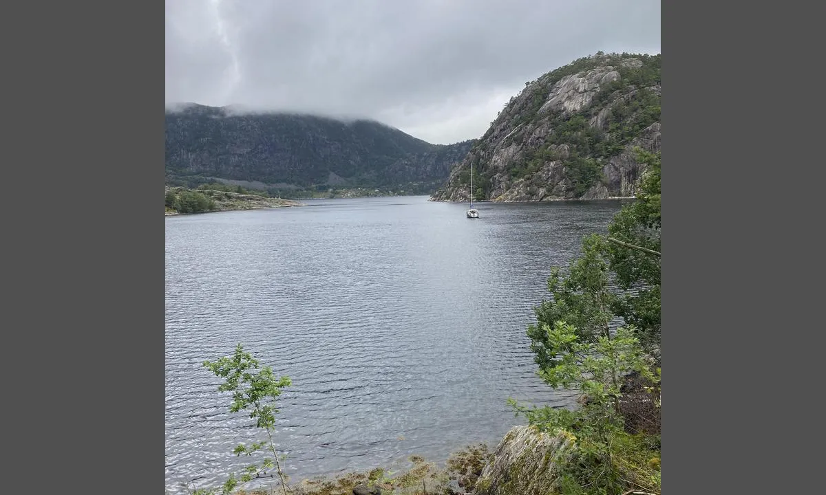 Bergsholmen - Forsand