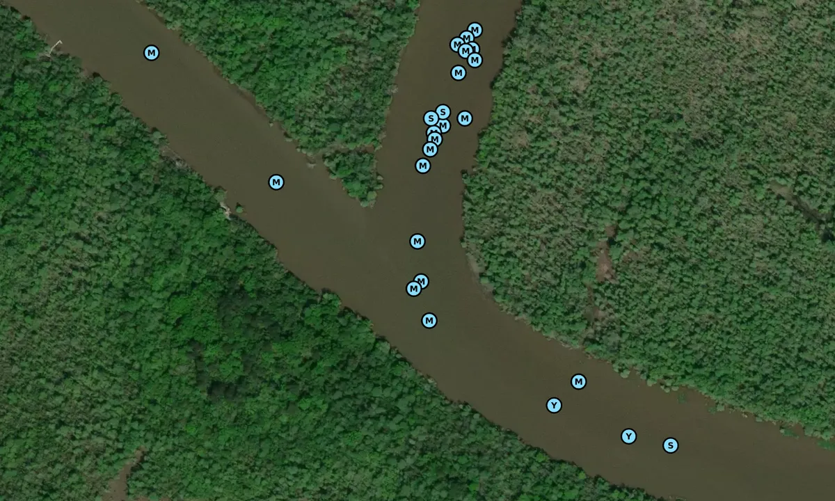 Satelite image of Big Briar Intersection