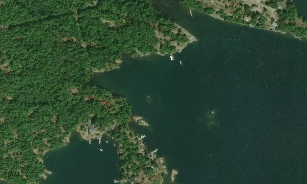 Satelite image of Big David Northwest