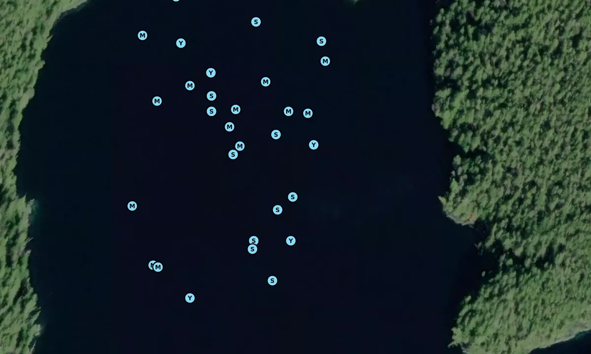 Satelite image of Big Fry Pan