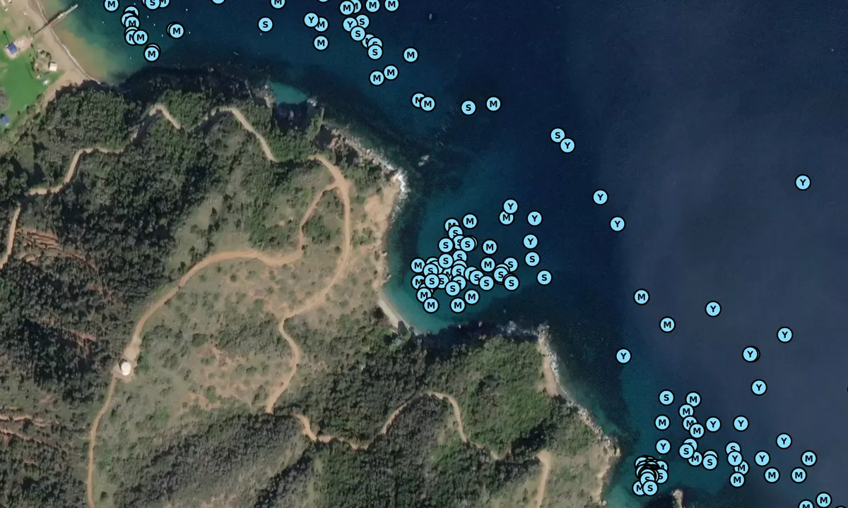Satelite image of Big Geiger Cove