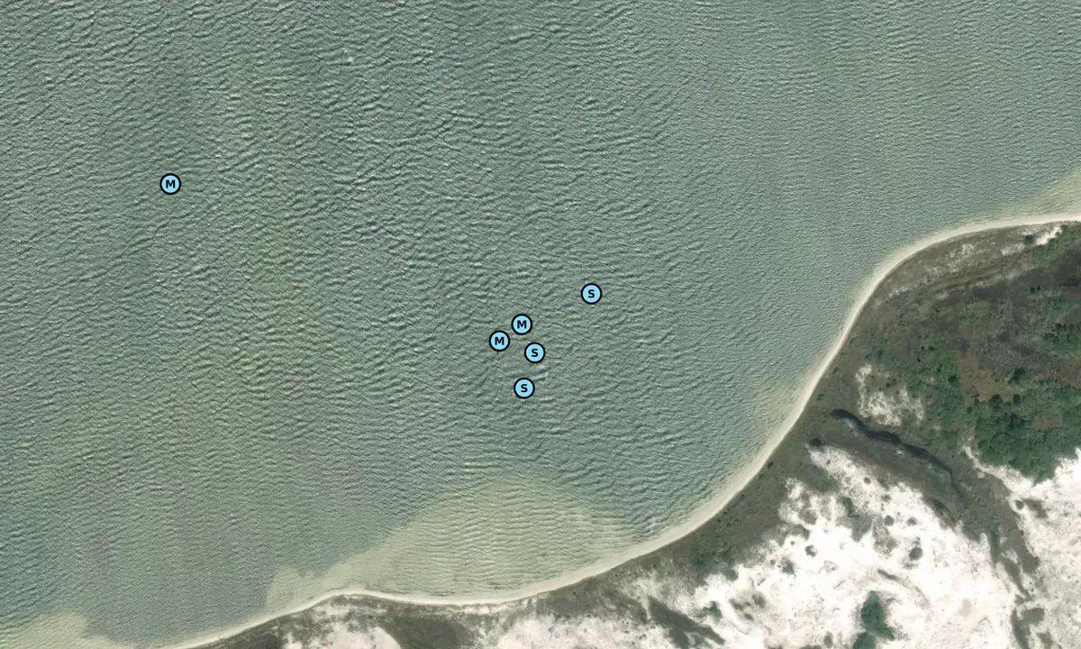 Satelite image of Big Sabine Point - 2