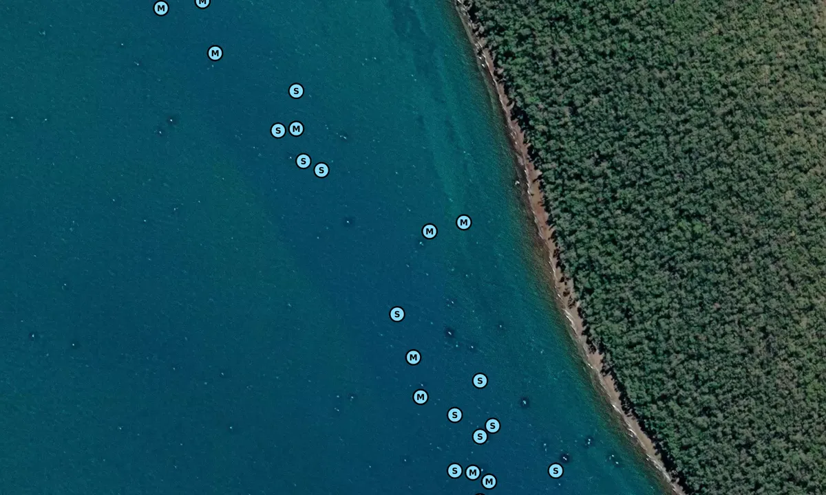 Satelite image of Big Woody Island