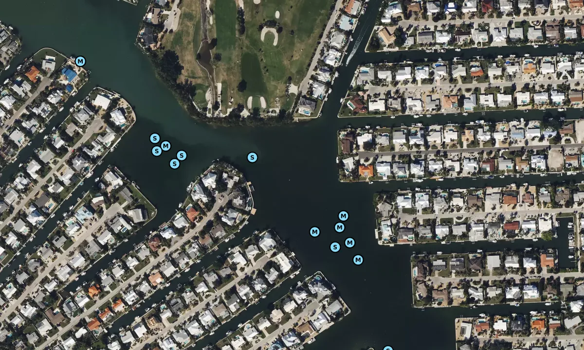 Satelite image of Bimini Bay