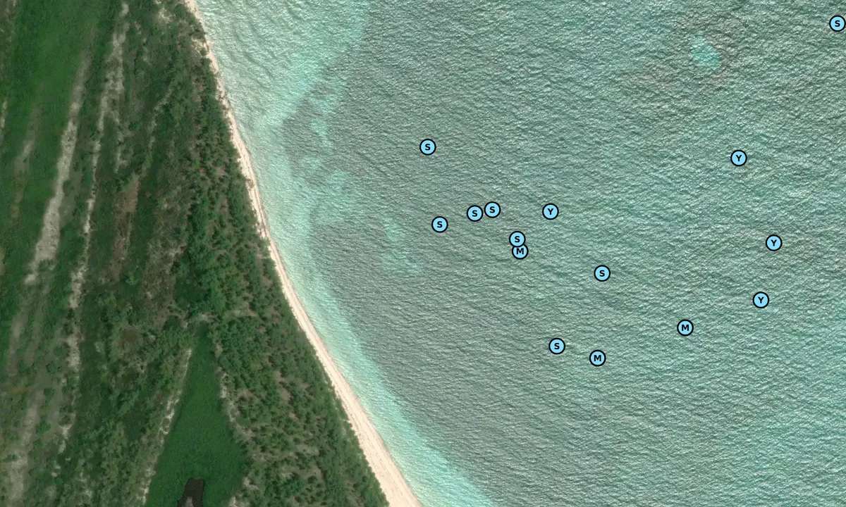 Satelite image of Bimini Northeast - 1