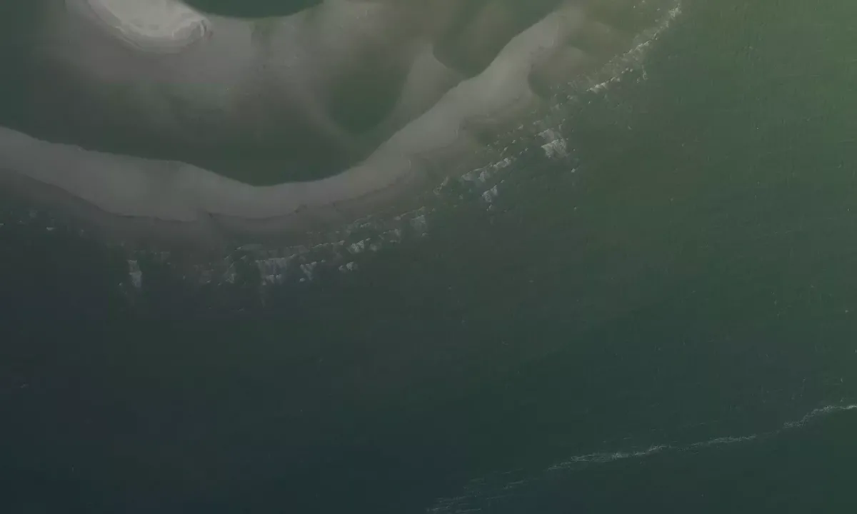 Satelite image of Bird Island Lagoon