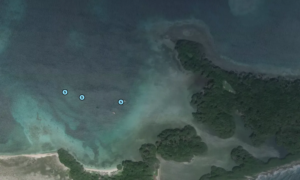 Satelite image of Bird Islands