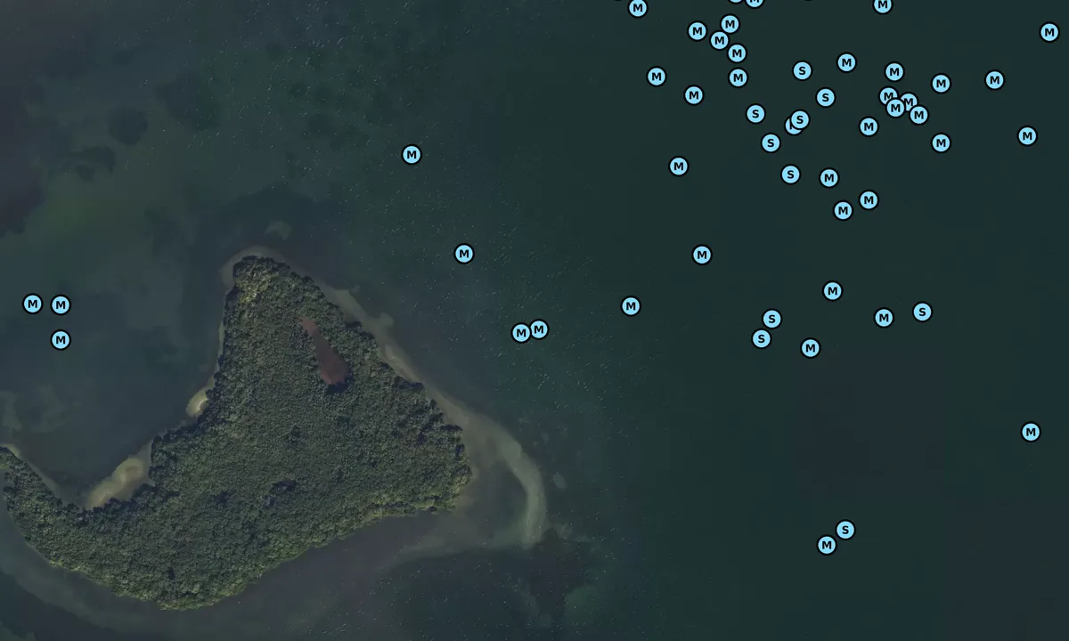 Satelite image of Bird Key