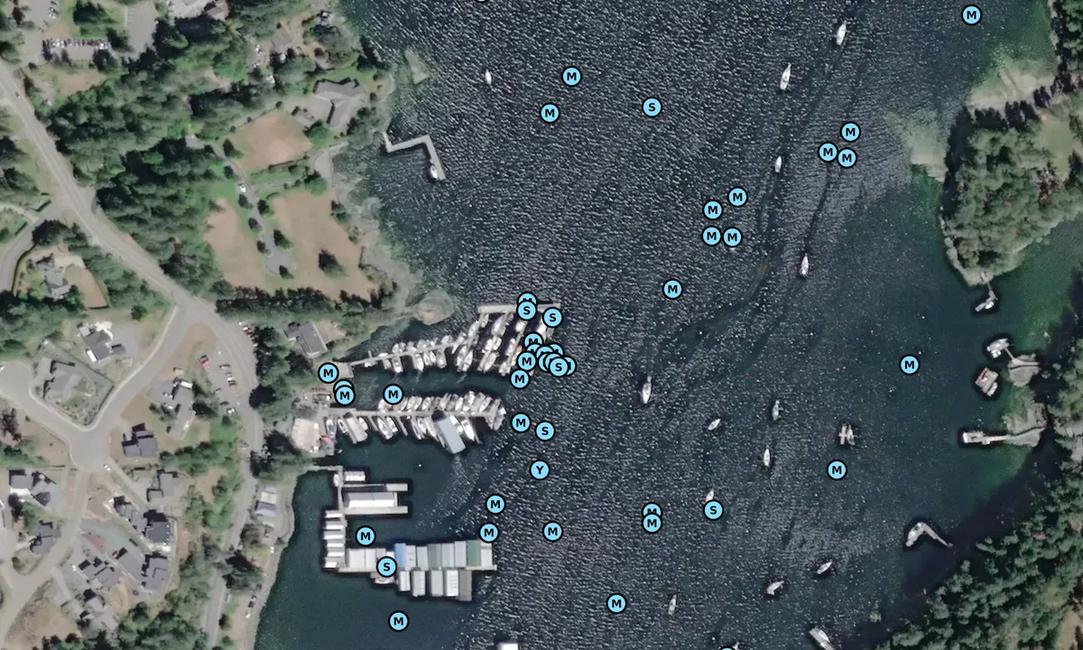 Satelite image of Birds Eye Cove Marina