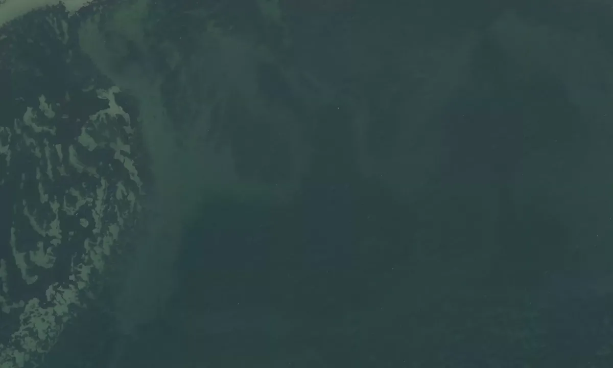 Satelite image of Bisserup Strand bouy
