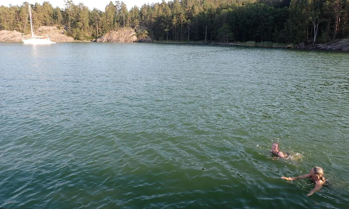 Björkö: {"base": "no", "no": "Veldig enkel innseiling. Bukta har variabel dybde, det er skr\u00e5r ut fra land, men p\u00e5 ca 10m dybde flater det ut. God beskyttelse for b\u00f8lger, dette er innelukket farvann. Vi ligger her p\u00e5 ca 10m vann ca. 70m fra land med ca 40m kjetting ute. Det er plass til flere b\u00e5ter her. Men dybden gj\u00f8r at hver b\u00e5t trenger mer plass med mye kjetting ute.", "se": "V\u00e4ldigt enkel insegling. Viken har varierande djup, det sluttar ut fr\u00e5n land, men p\u00e5 ca 10m djup planar det ut. Bra skydd mot v\u00e5gor, detta \u00e4r inneslutet vatten. Vi ligger h\u00e4r p\u00e5 ca 10m vatten ca 70m fr\u00e5n land med ca 40m k\u00e4tting ute. Det finns plats f\u00f6r flera b\u00e5tar h\u00e4r. Men djupet g\u00f6r att varje b\u00e5t beh\u00f6ver mer plats med mycket k\u00e4tting ute.", "en": "Very easy approach. The bay has variable depth, it slopes out from the shore, but at approximately 10m depth it levels out. Good protection from waves, this is enclosed waters. We are anchored here at about 10m water depth approximately 70m from the shore with about 40m of chain out. There is room for more boats here. However, the depth requires each boat to have more space with a lot of chain out.", "da": "Meget enkel indsejling. Bugten har variabel dybde, det er skr\u00e5ner ud fra land, men p\u00e5 ca. 10m dybde flader det ud. God beskyttelse mod b\u00f8lger, dette er indelukket farvand. Vi ligger her p\u00e5 ca. 10m vand ca. 70m fra land med ca. 40m k\u00e6de ude. Der er plads til flere b\u00e5de her. Men dybden g\u00f8r, at hver b\u00e5d har brug for mere plads med meget k\u00e6de ude.", "fr": "Entr\u00e9e tr\u00e8s facile. La baie a une profondeur variable, elle est en pente \u00e0 partir du rivage, mais \u00e0 environ 10m de profondeur, elle s'aplanit. Bonne protection contre les vagues, ce sont des eaux ferm\u00e9es. Nous sommes ici \u00e0 environ 10m de profondeur \u00e0 environ 70m du rivage avec environ 40m de cha\u00eene dehors. Il y a de la place pour plusieurs bateaux ici. Mais la profondeur fait que chaque bateau a besoin de plus d'espace avec beaucoup de cha\u00eene dehors.", "de": "Sehr einfache Einfahrt. Die Bucht hat variable Tiefen, sie f\u00e4llt vom Land aus ab, aber bei ca. 10m Tiefe flacht sie ab. Guter Schutz vor Wellen, dies ist ein geschlossenes Gew\u00e4sser. Wir liegen hier bei ca. 10m Wassertiefe ca. 70m vom Land entfernt mit ca. 40m Kette drau\u00dfen. Es gibt Platz f\u00fcr mehrere Boote hier. Aber die Tiefe macht es erforderlich, dass jedes Boot mit viel drau\u00dfen liegender Kette mehr Platz braucht.", "es": "Entrada muy sencilla. La bah\u00eda tiene profundidad variable, la cual disminuye desde la costa, pero a unos 10m de profundidad se nivela. Buena protecci\u00f3n contra las olas, estas son aguas cerradas. Estamos fondeados aqu\u00ed a unos 10m de profundidad a aproximadamente 70m de la costa con unos 40m de cadena fuera. Hay espacio para m\u00e1s barcos aqu\u00ed. Pero la profundidad hace que cada barco necesite m\u00e1s espacio con mucha cadena fuera.", "it": "<p>Molto facile da navigare. La baia ha una profondit\u00e0 variabile, degrada dalla terra, ma a circa 10 metri di profondit\u00e0 si appiattisce. Buona protezione dalle onde, queste sono acque chiuse. Siamo ancorati qui a circa 10 metri di profondit\u00e0, a circa 70 metri dalla terra con circa 40 metri di catena fuori. C'\u00e8 spazio per pi\u00f9 barche qui. Ma la profondit\u00e0 fa s\u00ec che ogni barca abbia bisogno di pi\u00f9 spazio con molta catena fuori.</p>", "pt": "Entrada muito f\u00e1cil. A ba\u00eda tem profundidade vari\u00e1vel, \u00e9 inclinado desde a terra, mas a cerca de 10m de profundidade, nivela-se. Boa prote\u00e7\u00e3o contra ondas, estas s\u00e3o \u00e1guas abrigadas. Estamos aqui a cerca de 10m de profundidade, aproximadamente 70m da terra com cerca de 40m de corrente para fora. H\u00e1 espa\u00e7o para mais barcos aqui. No entanto, a profundidade faz com que cada barco precise de mais espa\u00e7o com muita corrente para fora.", "nl": "Zeer eenvoudige aanloop. De baai heeft een variabele diepte, het loopt af vanaf de kust, maar op ongeveer 10m diepte vlakt het af. Goede bescherming tegen golven, dit is beschut water. Wij liggen hier op ongeveer 10m diepte op ca. 70m van de kust met ongeveer 40m ketting buiten. Er is ruimte voor meerdere boten hier. Maar de diepte betekent dat elke boot meer ruimte nodig heeft met veel ketting buiten.", "pl": "Bardzo prosty wp\u0142yw. Zatoka ma zmienn\u0105 g\u0142\u0119boko\u015b\u0107, spada od l\u0105du, ale na g\u0142\u0119boko\u015bci oko\u0142o 10 m wyr\u00f3wnuje si\u0119. Dobra ochrona przed falami, s\u0105 to zamkni\u0119te wody. Cumujemy tutaj na g\u0142\u0119boko\u015bci oko\u0142o 10 m, oko\u0142o 70 m od l\u0105du z oko\u0142o 40 m \u0142a\u0144cucha kotwicznego. Jest tutaj miejsce dla kilku \u0142odzi. Jednak g\u0142\u0119boko\u015b\u0107 sprawia, \u017ce ka\u017cda \u0142\u00f3d\u017a potrzebuje wi\u0119cej miejsca z du\u017c\u0105 ilo\u015bci\u0105 \u0142a\u0144cucha kotwicznego na zewn\u0105trz.", "uk": "\u0414\u0443\u0436\u0435 \u043f\u0440\u043e\u0441\u0442\u0438\u0439 \u0432\u0445\u0456\u0434. \u0411\u0443\u0445\u0442\u0430 \u043c\u0430\u0454 \u0437\u043c\u0456\u043d\u043d\u0443 \u0433\u043b\u0438\u0431\u0438\u043d\u0443, \u043f\u043e\u0445\u0438\u043b\u0443 \u0432\u0456\u0434 \u0431\u0435\u0440\u0435\u0433\u0430, \u0430\u043b\u0435 \u043d\u0430 \u043f\u0440\u0438\u0431\u043b\u0438\u0437\u043d\u043e 10 \u043c \u0433\u043b\u0438\u0431\u0438\u043d\u0456 \u0432\u0438\u0440\u0456\u0432\u043d\u044e\u0454\u0442\u044c\u0441\u044f. \u0414\u043e\u0431\u0440\u0435 \u0437\u0430\u0445\u0438\u0449\u0435\u043d\u0430 \u0432\u0456\u0434 \u0445\u0432\u0438\u043b\u044c, \u0446\u0435 \u0437\u0430\u043c\u043a\u043d\u0443\u0442\u0456 \u0432\u043e\u0434\u0438. \u041c\u0438 \u0441\u0442\u043e\u0457\u043c\u043e \u0442\u0443\u0442 \u043d\u0430 \u043f\u0440\u0438\u0431\u043b\u0438\u0437\u043d\u043e 10 \u043c \u0432\u043e\u0434\u0438 \u043d\u0430 \u0432\u0456\u0434\u0441\u0442\u0430\u043d\u0456 \u043f\u0440\u0438\u0431\u043b\u0438\u0437\u043d\u043e 70 \u043c \u0432\u0456\u0434 \u0431\u0435\u0440\u0435\u0433\u0430 \u0437 \u043f\u0440\u0438\u0431\u043b\u0438\u0437\u043d\u043e 40 \u043c \u043b\u0430\u043d\u0446\u044e\u0433\u0430 \u0443 \u0432\u043e\u0434\u0456. \u0422\u0443\u0442 \u0454 \u043c\u0456\u0441\u0446\u0435 \u0434\u043b\u044f \u043a\u0456\u043b\u044c\u043a\u043e\u0445 \u0447\u043e\u0432\u043d\u0456\u0432. \u0410\u043b\u0435 \u0433\u043b\u0438\u0431\u0438\u043d\u0430 \u0437\u043c\u0443\u0448\u0443\u0454 \u043a\u043e\u0436\u0435\u043d \u0447\u043e\u0432\u0435\u043d \u043f\u043e\u0442\u0440\u0435\u0431\u0443\u0432\u0430\u0442\u0438 \u0431\u0456\u043b\u044c\u0448\u0435 \u043c\u0456\u0441\u0446\u044f \u0437 \u0432\u0435\u043b\u0438\u043a\u043e\u044e \u043a\u0456\u043b\u044c\u043a\u0456\u0441\u0442\u044e \u043b\u0430\u043d\u0446\u044e\u0433\u0430 \u0443 \u0432\u043e\u0434\u0456.", "ro": "Navigare foarte simpl\u0103. Golful are o ad\u00e2ncime variabil\u0103, coboar\u0103 \u00een pant\u0103 de la uscat, dar la aprox. 10m ad\u00e2ncime se niveleaz\u0103. Protec\u021bie bun\u0103 \u00eempotriva valurilor, aceasta este o ap\u0103 \u00eenchis\u0103. Suntem ancora\u021bi aici la aprox. 10m ad\u00e2ncime, la aprox. 70m de uscat cu aprox. 40m de lan\u021b afar\u0103. Este loc pentru mai multe b\u0103rci aici. Dar ad\u00e2ncimea face ca fiecare barc\u0103 s\u0103 necesite mai mult spa\u021biu cu mult lan\u021b afar\u0103.", "tr": "\u00c7ok kolay bir giri\u015f. Koyun derinli\u011fi de\u011fi\u015fkendir, karadan itibaren e\u011fimlidir, ancak yakla\u015f\u0131k 10m derinlikte d\u00fczle\u015fir. Dalgalar i\u00e7in iyi koruma sa\u011flar, buras\u0131 kapal\u0131 bir su alan\u0131d\u0131r. Burada yakla\u015f\u0131k 10m derinlikte, karadan yakla\u015f\u0131k 70m uzakta ve yakla\u015f\u0131k 40m zincirle demirledik. Burada birden fazla tekne i\u00e7in yer var. Ancak derinlik, her teknenin, d\u0131\u015far\u0131da \u00e7ok fazla zincir bulundu\u011funda, daha fazla alan gerektirdi\u011fi anlam\u0131na gelir.", "el": "\u03a0\u03bf\u03bb\u03cd \u03b5\u03cd\u03ba\u03bf\u03bb\u03b7 \u03b5\u03af\u03c3\u03bf\u03b4\u03bf\u03c2. \u039f \u03ba\u03cc\u03bb\u03c0\u03bf\u03c2 \u03ad\u03c7\u03b5\u03b9 \u03bc\u03b5\u03c4\u03b1\u03b2\u03bb\u03b7\u03c4\u03cc \u03b2\u03ac\u03b8\u03bf\u03c2, \u03ba\u03bb\u03af\u03bd\u03b5\u03b9 \u03b1\u03c0\u03cc \u03c4\u03b7\u03bd \u03be\u03b7\u03c1\u03ac, \u03b1\u03bb\u03bb\u03ac \u03c3\u03b5 \u03b2\u03ac\u03b8\u03bf\u03c2 \u03c0\u03b5\u03c1\u03af\u03c0\u03bf\u03c5 10\u03bc. \u03b9\u03c3\u03b9\u03ce\u03bd\u03b5\u03b9. \u039a\u03b1\u03bb\u03ae \u03c0\u03c1\u03bf\u03c3\u03c4\u03b1\u03c3\u03af\u03b1 \u03b1\u03c0\u03cc \u03ba\u03cd\u03bc\u03b1\u03c4\u03b1, \u03b1\u03c5\u03c4\u03ac \u03b5\u03af\u03bd\u03b1\u03b9 \u03ba\u03bb\u03b5\u03b9\u03c3\u03c4\u03ac \u03bd\u03b5\u03c1\u03ac. \u0392\u03c1\u03b9\u03c3\u03ba\u03cc\u03bc\u03b1\u03c3\u03c4\u03b5 \u03b5\u03b4\u03ce \u03c3\u03b5 \u03b2\u03ac\u03b8\u03bf\u03c2 \u03c0\u03b5\u03c1\u03af\u03c0\u03bf\u03c5 10\u03bc. \u03c0\u03b5\u03c1\u03af\u03c0\u03bf\u03c5 70\u03bc. \u03b1\u03c0\u03cc \u03c4\u03b7\u03bd \u03be\u03b7\u03c1\u03ac \u03bc\u03b5 \u03c0\u03b5\u03c1\u03af\u03c0\u03bf\u03c5 40\u03bc. \u03b1\u03bb\u03c5\u03c3\u03af\u03b4\u03b1 \u03ad\u03be\u03c9. \u03a5\u03c0\u03ac\u03c1\u03c7\u03b5\u03b9 \u03c7\u03ce\u03c1\u03bf\u03c2 \u03b3\u03b9\u03b1 \u03c0\u03b5\u03c1\u03b9\u03c3\u03c3\u03cc\u03c4\u03b5\u03c1\u03b1 \u03c3\u03ba\u03ac\u03c6\u03b7 \u03b5\u03b4\u03ce. \u0391\u03bb\u03bb\u03ac \u03c4\u03bf \u03b2\u03ac\u03b8\u03bf\u03c2 \u03c3\u03b7\u03bc\u03b1\u03af\u03bd\u03b5\u03b9 \u03cc\u03c4\u03b9 \u03ba\u03ac\u03b8\u03b5 \u03c3\u03ba\u03ac\u03c6\u03bf\u03c2 \u03c7\u03c1\u03b5\u03b9\u03ac\u03b6\u03b5\u03c4\u03b1\u03b9 \u03c0\u03b5\u03c1\u03b9\u03c3\u03c3\u03cc\u03c4\u03b5\u03c1\u03bf \u03c7\u03ce\u03c1\u03bf \u03bc\u03b5 \u03c0\u03bf\u03bb\u03bb\u03ae \u03b1\u03bb\u03c5\u03c3\u03af\u03b4\u03b1 \u03ad\u03be\u03c9.", "cs": "Velmi snadn\u00e9 vplut\u00ed. Z\u00e1liv m\u00e1 prom\u011bnlivou hloubku, od b\u0159ehu se sva\u017euje, ale p\u0159i zhruba 10m hloubce se vyrovn\u00e1v\u00e1. Dobr\u00e1 ochrana p\u0159ed vlnami, jsou to uzav\u0159en\u00e9 vody. Stoj\u00edme zde v hloubce zhruba 10m, asi 70m od b\u0159ehu s asi 40m \u0159et\u011bzu venku. Je zde m\u00edsto pro v\u00edce lod\u00ed. Ale kv\u016fli hloubce pot\u0159ebuje ka\u017ed\u00e1 lo\u010f v\u00edce prostoru s hodn\u011b \u0159et\u011bzem venku.", "hu": "Nagyon egyszer\u0171 behaj\u00f3z\u00e1s. Az \u00f6b\u00f6l v\u00e1ltoz\u00f3 m\u00e9lys\u00e9g\u0171, a partt\u00f3l kifel\u00e9 lejti, de k\u00f6r\u00fclbel\u00fcl 10 m\u00e9ter m\u00e9lys\u00e9gn\u00e9l kisimul. J\u00f3 v\u00e9delem a hull\u00e1mok ellen, ez egy z\u00e1rt v\u00edzter\u00fclet. Itt k\u00f6r\u00fclbel\u00fcl 10 m\u00e9teres v\u00edzben feksz\u00fcnk, k\u00f6r\u00fclbel\u00fcl 70 m\u00e9terre a partt\u00f3l, k\u00f6r\u00fclbel\u00fcl 40 m\u00e9ter l\u00e1nccal kint. T\u00f6bb haj\u00f3 is elf\u00e9r itt. De a m\u00e9lys\u00e9g miatt minden haj\u00f3nak t\u00f6bb helyre van sz\u00fcks\u00e9ge, ha sok l\u00e1nc van kint.", "fi": "Eritt\u00e4in helppo sis\u00e4\u00e4np\u00e4\u00e4sy. Lahden syvyys vaihtelee, se jyrkkenee maalta, mutta noin 10 m syvyydess\u00e4 se tasoittuu. Hyv\u00e4 suoja aalloilta, t\u00e4m\u00e4 on suljettu vesialue. Olemme t\u00e4\u00e4ll\u00e4 noin 10 m syvyisess\u00e4 vedess\u00e4 noin 70 m p\u00e4\u00e4ss\u00e4 rannasta ja k\u00e4yt\u00e4mme noin 40 m kettinki\u00e4. T\u00e4\u00e4ll\u00e4 mahtuu useampi vene. Kuitenkin syvyyden vuoksi jokainen vene tarvitsee enemm\u00e4n tilaa, kun k\u00e4yt\u00f6ss\u00e4 on paljon kettinki\u00e4.", "bg": "\u041c\u043d\u043e\u0433\u043e \u043b\u0435\u0441\u043d\u043e \u0432\u043b\u0438\u0437\u0430\u043d\u0435. \u0417\u0430\u043b\u0438\u0432\u044a\u0442 \u0438\u043c\u0430 \u043f\u0440\u043e\u043c\u0435\u043d\u043b\u0438\u0432\u0430 \u0434\u044a\u043b\u0431\u043e\u0447\u0438\u043d\u0430, \u043a\u0430\u0442\u043e \u0434\u044a\u043d\u043e\u0442\u043e \u0441\u0435 \u043d\u0430\u043a\u043b\u0430\u043d\u044f \u043e\u0442 \u0431\u0440\u0435\u0433\u0430, \u043d\u043e \u043d\u0430 \u043e\u043a\u043e\u043b\u043e 10\u043c \u0434\u044a\u043b\u0431\u043e\u0447\u0438\u043d\u0430 \u0441\u0435 \u0438\u0437\u0440\u0430\u0432\u043d\u044f\u0432\u0430. \u0414\u043e\u0431\u0440\u0430 \u0437\u0430\u0449\u0438\u0442\u0430 \u043e\u0442 \u0432\u044a\u043b\u043d\u0438, \u0442\u043e\u0432\u0430 \u0435 \u0437\u0430\u0442\u0432\u043e\u0440\u0435\u043d\u0430 \u0432\u043e\u0434\u0430. \u041d\u0438\u0435 \u0441\u043c\u0435 \u0442\u0443\u043a \u043d\u0430 \u043e\u043a\u043e\u043b\u043e 10\u043c \u0434\u044a\u043b\u0431\u043e\u0447\u0438\u043d\u0430 \u043d\u0430 \u043e\u043a\u043e\u043b\u043e 70\u043c \u043e\u0442 \u0431\u0440\u0435\u0433\u0430 \u0441 \u043e\u043a\u043e\u043b\u043e 40\u043c \u0438\u0437\u043b\u044f\u0437\u043b\u0430 \u0432\u0435\u0440\u0438\u0433\u0430. \u0418\u043c\u0430 \u043c\u044f\u0441\u0442\u043e \u0437\u0430 \u043f\u043e\u0432\u0435\u0447\u0435 \u043b\u043e\u0434\u043a\u0438 \u0442\u0443\u043a. \u041d\u043e \u0434\u044a\u043b\u0431\u043e\u0447\u0438\u043d\u0430\u0442\u0430 \u0438\u0437\u0438\u0441\u043a\u0432\u0430 \u0432\u0441\u044f\u043a\u0430 \u043b\u043e\u0434\u043a\u0430 \u0434\u0430 \u0438\u043c\u0430 \u043f\u043e\u0432\u0435\u0447\u0435 \u043c\u044f\u0441\u0442\u043e \u0441 \u043c\u043d\u043e\u0433\u043e \u0438\u0437\u043b\u044f\u0437\u043b\u0430 \u0432\u0435\u0440\u0438\u0433\u0430.", "sr": "Veoma jednostavan ulaz. Uvala ima promenljivu dubinu, nagib je ka kopnu, ali na oko 10m dubine se izravnava. Dobra za\u0161tita od talasa, ovo je zatvorena voda. Mi smo ovde usidreni na oko 10m dubine, oko 70m od kopna sa oko 40m lanca napolju. Ima mesta za vi\u0161e brodova ovde. Ali, dubina zna\u010di da svaki brod treba vi\u0161e prostora sa mnogo lanca napolju.", "et": "V\u00e4ga lihtne sisses\u00f5it. Lahel on muutuva s\u00fcgavusega p\u00f5hi, see langeb j\u00e4rk-j\u00e4rgult alates rannikust, kuid umbes 10 meetri s\u00fcgavusel muutub see tasaseks. Hea kaitse lainete eest, see on kinnine meri. Oleme siin ankrus umbes 10 meetri s\u00fcgavusel vees, umbes 70 meetri kaugusel rannikust, umbes 40 meetri pikkuse ankruketiga vette lastud. Siia mahub mitu paati. Kuid s\u00fcgavus t\u00e4hendab, et iga paat vajab rohkem ruumi, kui ankruketi palju v\u00e4lja lasta.", "lv": "\u013boti vienk\u0101r\u0161a ien\u0101k\u0161anas osta. L\u012bc\u012b ir main\u012bgs dzi\u013cums, krasts ir sl\u012bp\u0113ts, bet apm\u0113ram 10m dzi\u013cum\u0101 tas izl\u012bdzin\u0101s. Laba aizsardz\u012bba pret vi\u013c\u0146iem, \u0161is ir sl\u0113gts \u016bdens. M\u0113s \u0161eit st\u0101vam apm\u0113ram 10m dzi\u013cum\u0101, apm\u0113ram 70m att\u0101lum\u0101 no krasta, ar aptuveni 40m \u0137\u0113di \u0101r\u0101. \u0160eit ir vieta vair\u0101k\u0101m laiv\u0101m. Bet dzi\u013cums noz\u012bm\u0113, ka katrai laivai ir nepiecie\u0161ams vair\u0101k vietas ar daudz \u0137\u0113des \u0101r\u0101.", "lt": "Labai paprastas \u012fplaukimas. \u012elanka turi kintam\u0105 gyl\u012f, ji nuolaid\u017eiai gil\u0117ja nuo kranto, bet ma\u017edaug 10m gylyje i\u0161silygina. Gera apsauga nuo bang\u0173, tai u\u017edari vandenys. Mes esame \u010dia ma\u017edaug 10m gylio vandenyje apie 70m atstumu nuo kranto, su apie 40m ilgiu grandine i\u0161or\u0117je. \u010cia telpa daugiau laiv\u0173. Ta\u010diau gylis rei\u0161kia, kad kiekvienam laivui reikia daugiau vietos su ilgesne grandine i\u0161or\u0117je."}