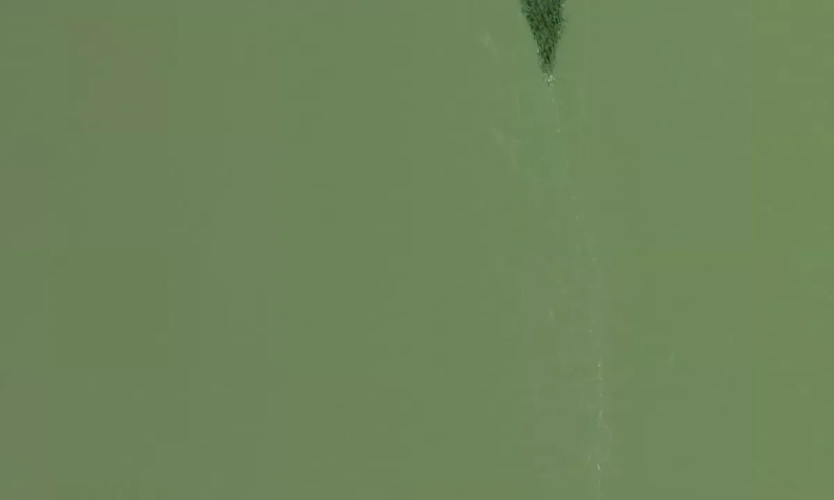 Satelite image of Black Hawk Point