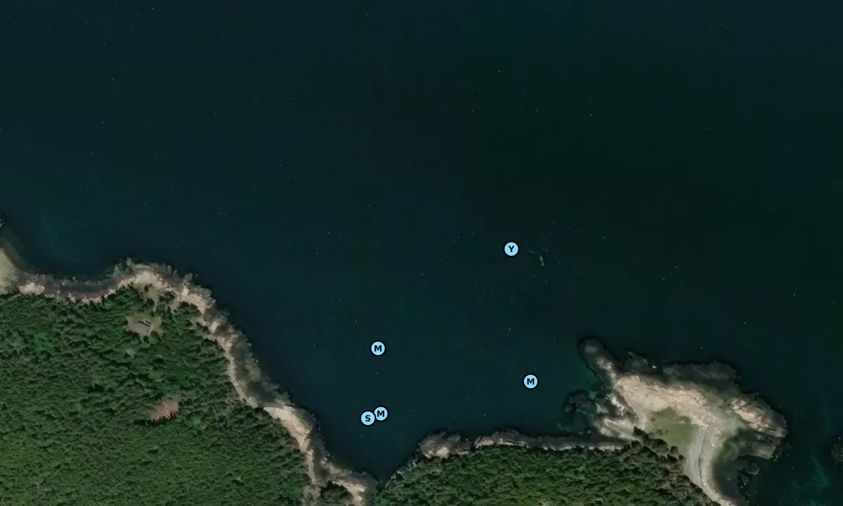Satelite image of Black Island - Frenchboro
