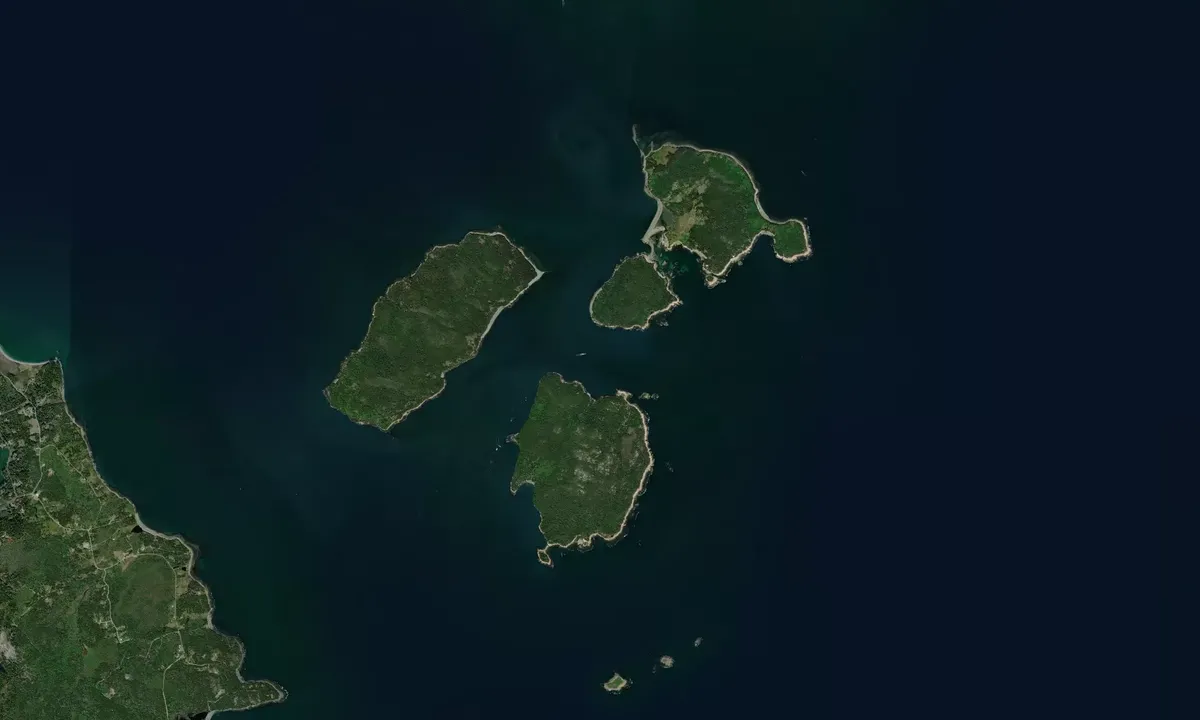 Flyfoto av Black Island - Frenchboro