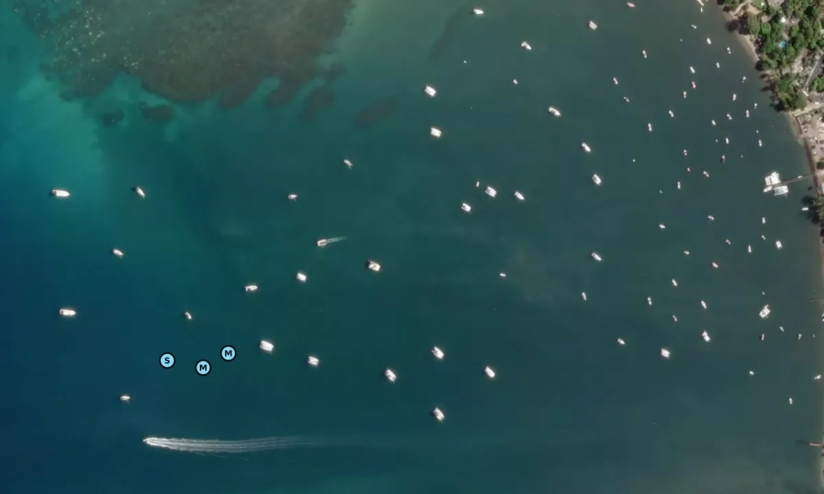 Satelite image of Black River 1