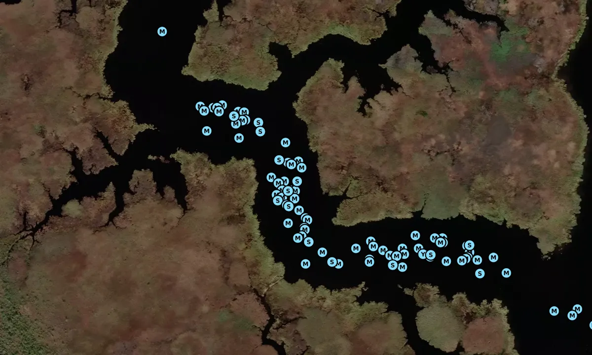 Satelite image of Blackwater Creek