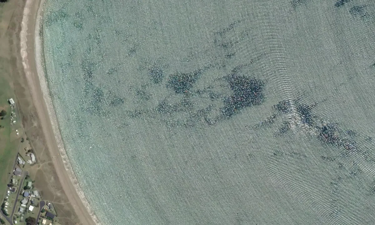Flyfoto av Bland Bay