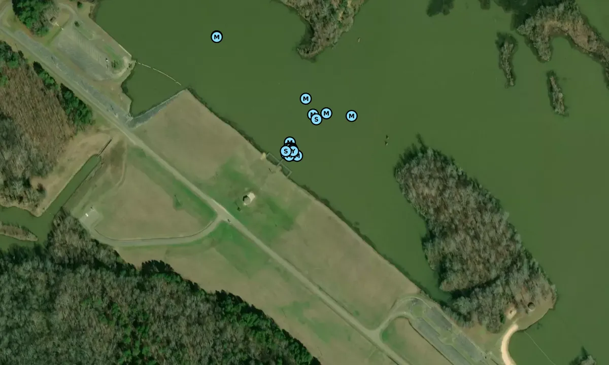 Satelite image of Blue Bluff