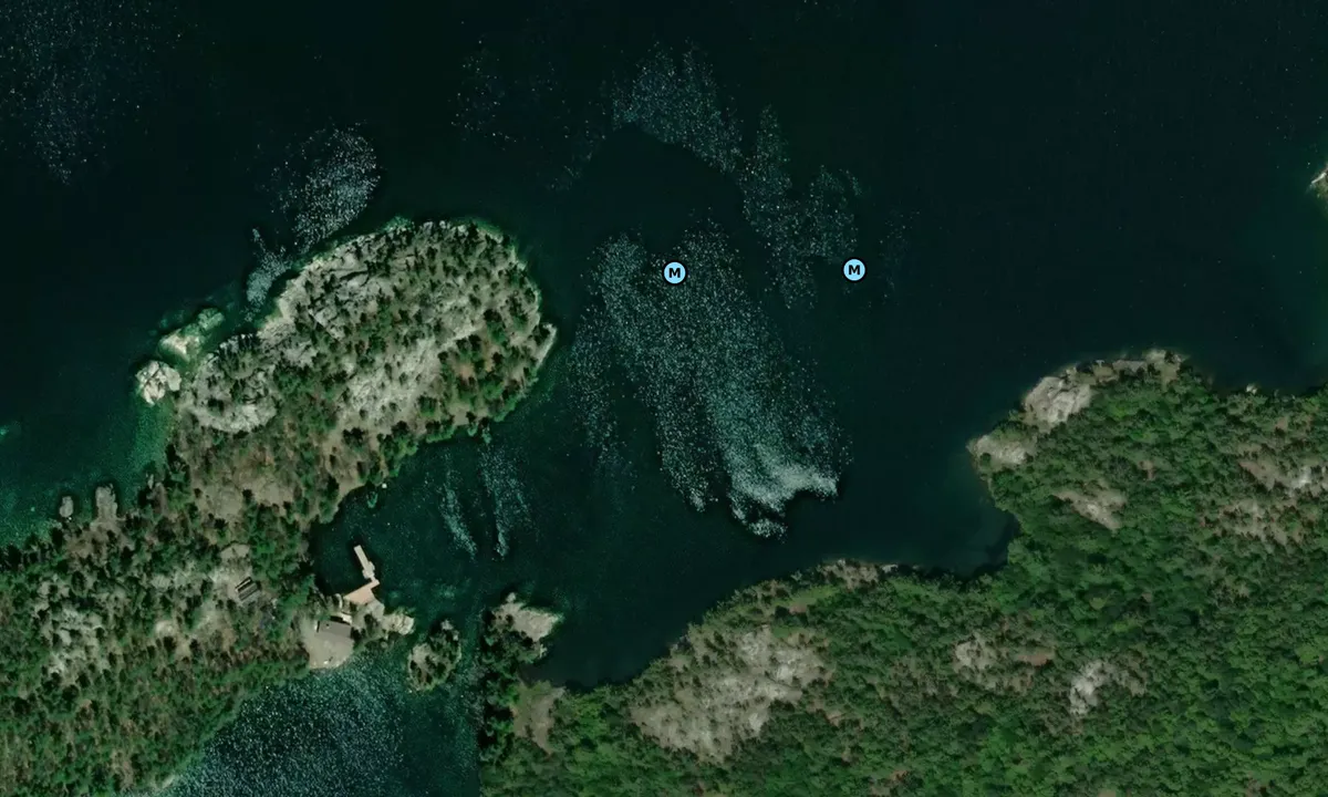 Satelite image of Blueberry Island East