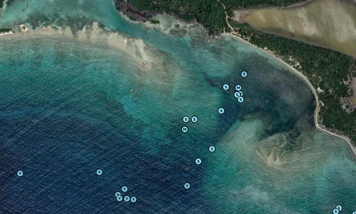 Satelite image of Bluff Bay 1