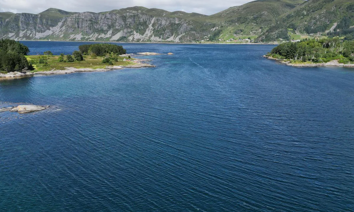 Bø - Selje: looking north from harbour