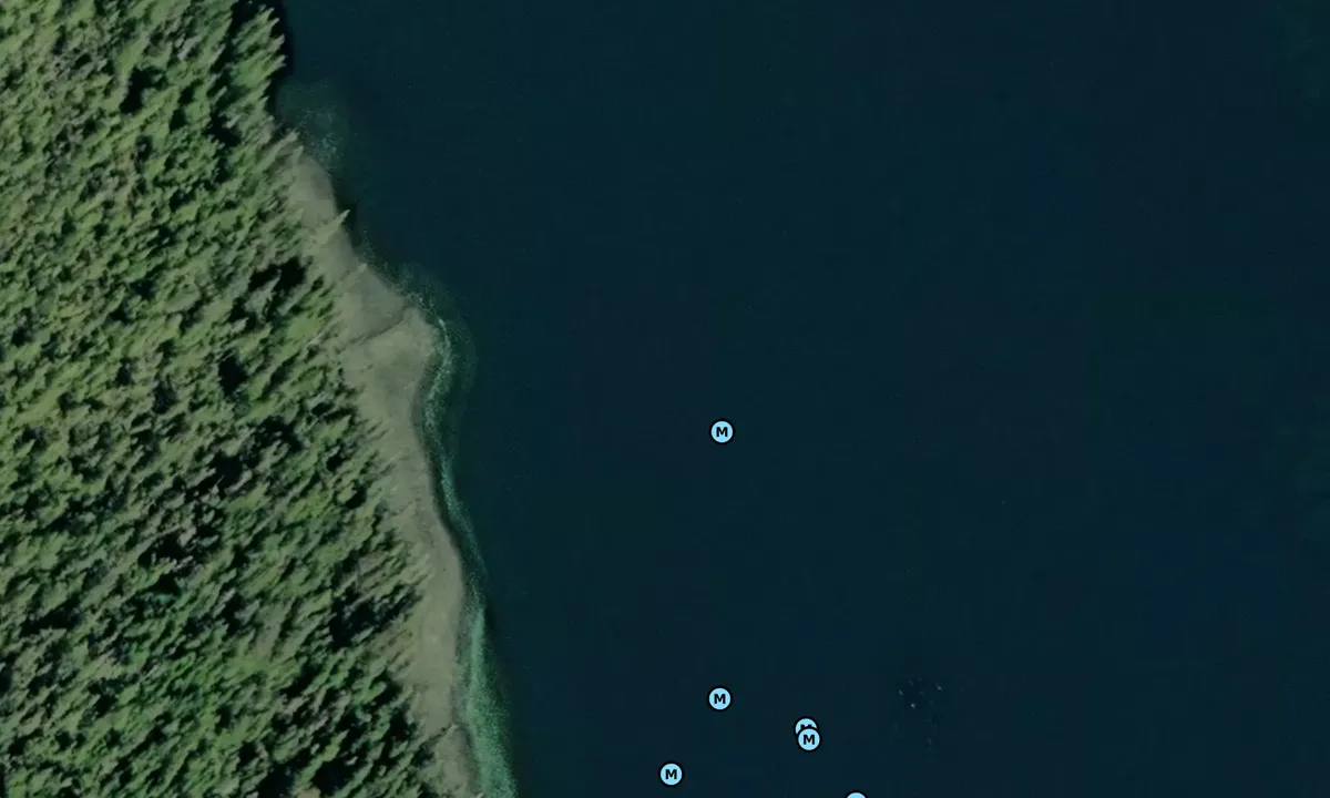 Satelite image of Bobs Place