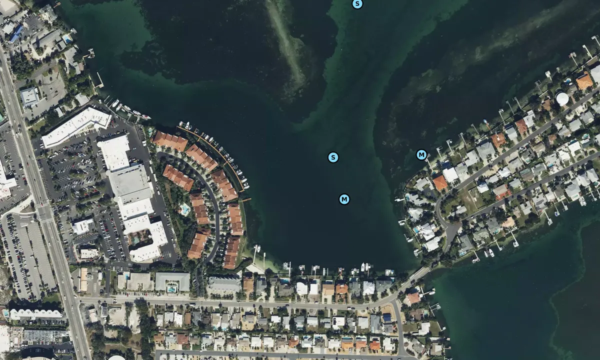 Satelite image of Boca Ciega Isle (inside)