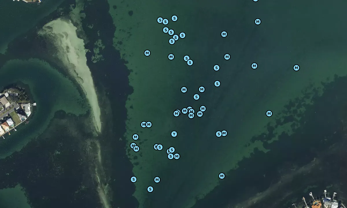 Satelite image of Boca Ciega (West)