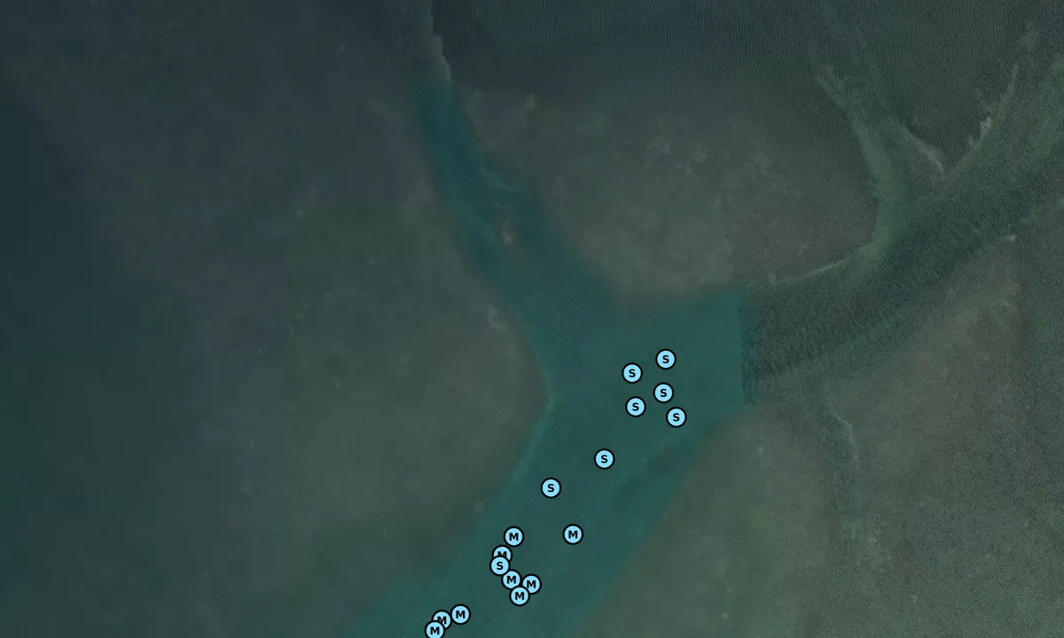 Satelite image of Boca Grande (moorings)