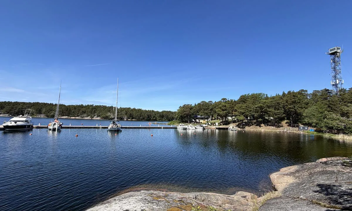 Bodö: De haven