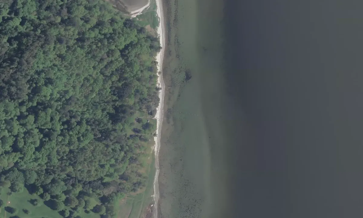 Satelite image of Bognæs forest camp