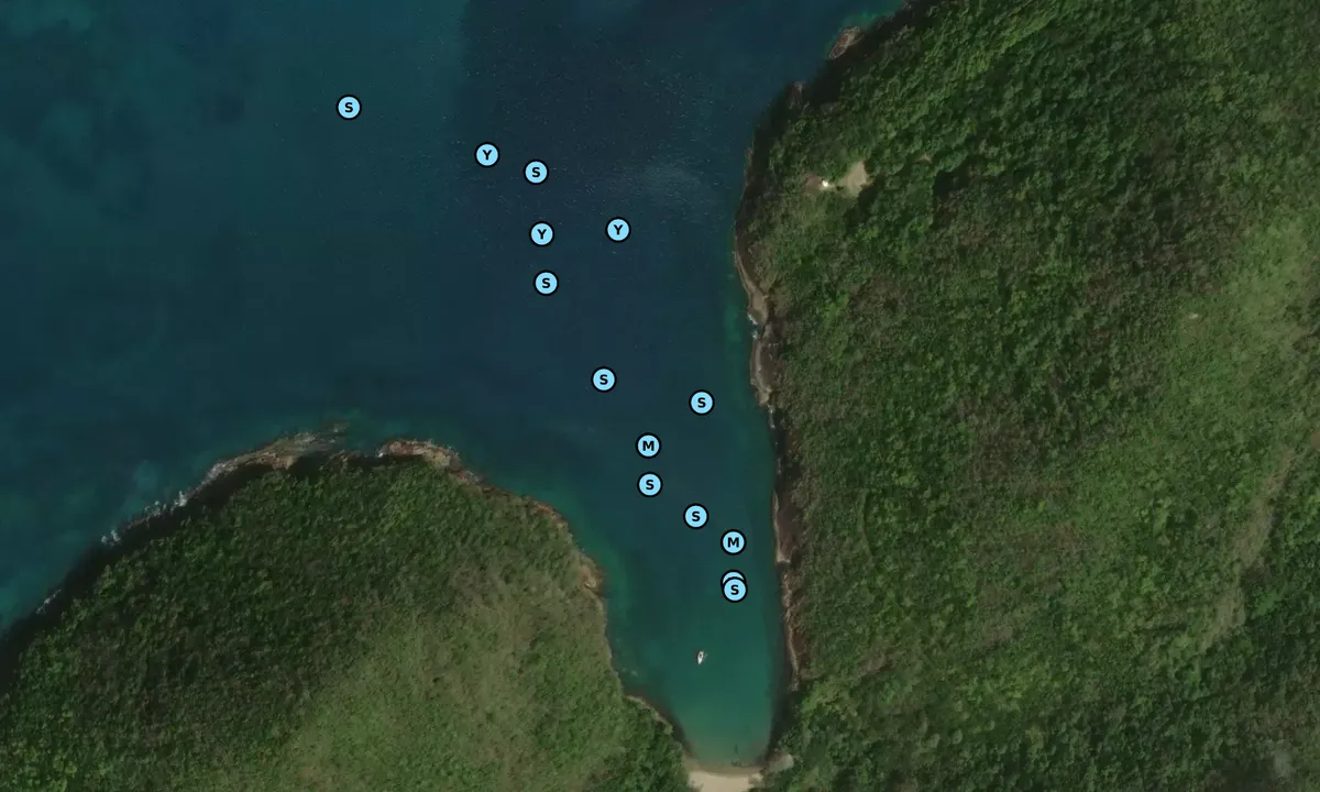 Satelite image of Bois D'orange Bay