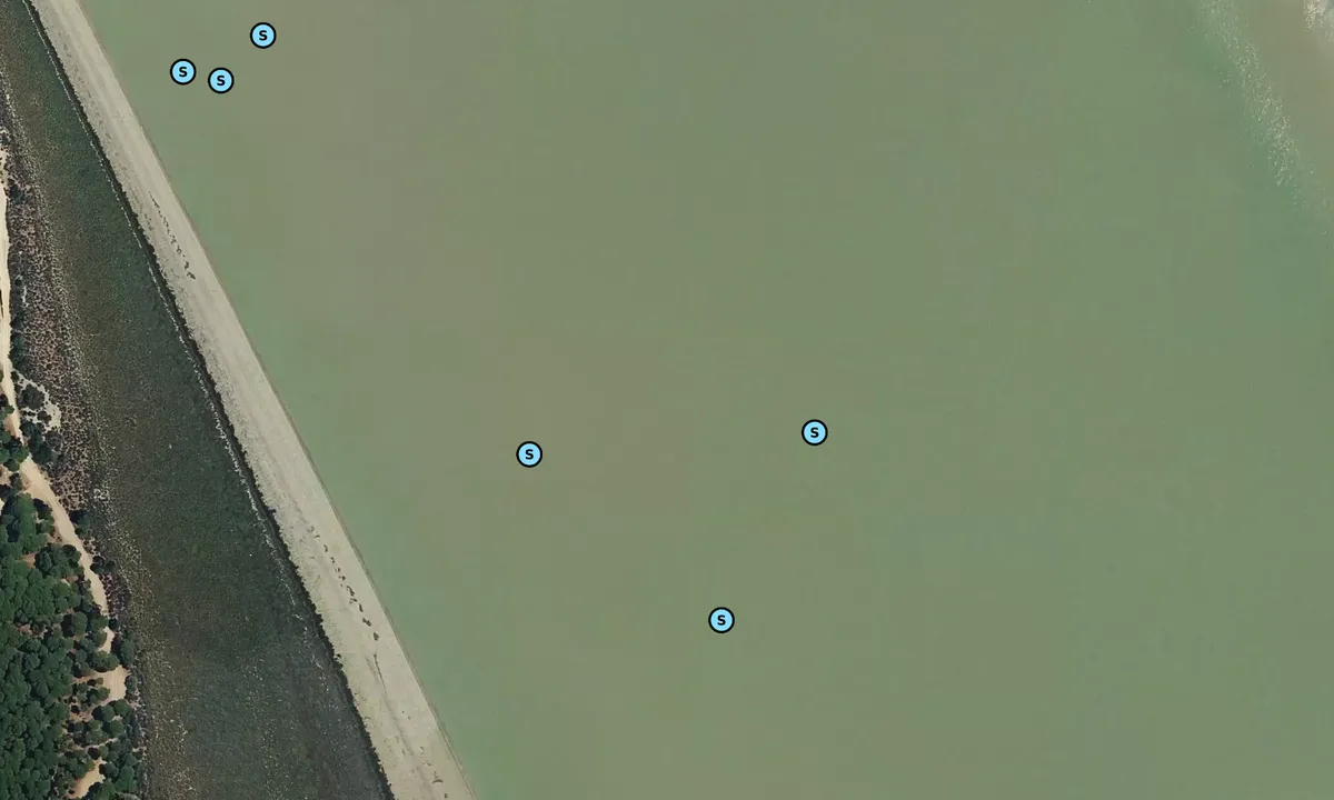 Flyfoto av Bonanza - Almonte