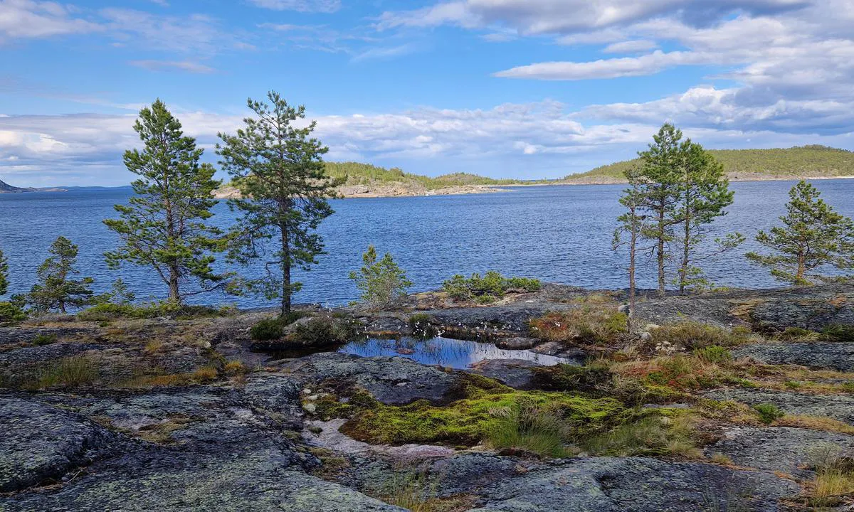 Bönhamn: {"base": "en", "no": "Flott tur, 10 min fra havnen.", "se": "Fantastisk promenad, 10 min fr\u00e5n hamnen.", "en": "Great walk, 10mn from the harbour.", "da": "Fantastisk g\u00e5tur, 10 minutter fra havnen.", "fr": "Belle promenade, \u00e0 10 minutes du port.", "de": "Gro\u00dfartiger Spaziergang, 10 Minuten vom Hafen entfernt.", "es": "Gran paseo, a 10 minutos del puerto.", "it": "Ottima passeggiata, 10 minuti dal porto.", "pt": "\u00d3tima caminhada, a 10 minutos do porto.", "nl": "Mooie wandeling, 10 min van de haven.", "pl": "\u015awietny spacer, 10 minut od portu.", "uk": "\u041f\u0440\u0435\u043a\u0440\u0430\u0441\u043d\u0430 \u043f\u0440\u043e\u0433\u0443\u043b\u044f\u043d\u043a\u0430, 10 \u0445\u0432\u0438\u043b\u0438\u043d \u0432\u0456\u0434 \u0433\u0430\u0432\u0430\u043d\u0456.", "ro": "Plimbare minunat\u0103, la 10 minute de port.", "tr": "Harika y\u00fcr\u00fcy\u00fc\u015f, limandan 10 dakika uzakl\u0131kta.", "el": "\u03a5\u03c0\u03ad\u03c1\u03bf\u03c7\u03bf\u03c2 \u03c0\u03b5\u03c1\u03af\u03c0\u03b1\u03c4\u03bf\u03c2, 10 \u03bb\u03b5\u03c0\u03c4\u03ac \u03b1\u03c0\u03cc \u03c4\u03bf \u03bb\u03b9\u03bc\u03ac\u03bd\u03b9.", "cs": "Skv\u011bl\u00e1 proch\u00e1zka, 10 minut od p\u0159\u00edstavu.", "hu": "Remek s\u00e9ta, 10 percre a kik\u00f6t\u0151t\u0151l.", "fi": "Loistava k\u00e4velyreitti, 10 min satamasta.", "bg": "\u0421\u0442\u0440\u0430\u0445\u043e\u0442\u043d\u0430 \u0440\u0430\u0437\u0445\u043e\u0434\u043a\u0430, \u043d\u0430 10 \u043c\u0438\u043d\u0443\u0442\u0438 \u043e\u0442 \u043f\u0440\u0438\u0441\u0442\u0430\u043d\u0438\u0449\u0435\u0442\u043e.", "sr": "Odli\u010dna \u0161etnja, 10 minuta od luke.", "et": "Suurep\u00e4rane jalutusk\u00e4ik, 10 minutit sadamast.", "lv": "Lieliska pastaiga, 10 min\u016btes no ostas.", "lt": "Puikus pasivaik\u0161\u010diojimas, 10 minu\u010di\u0173 nuo uosto."}