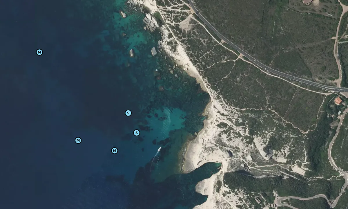 Satelite image of Bonifacio South