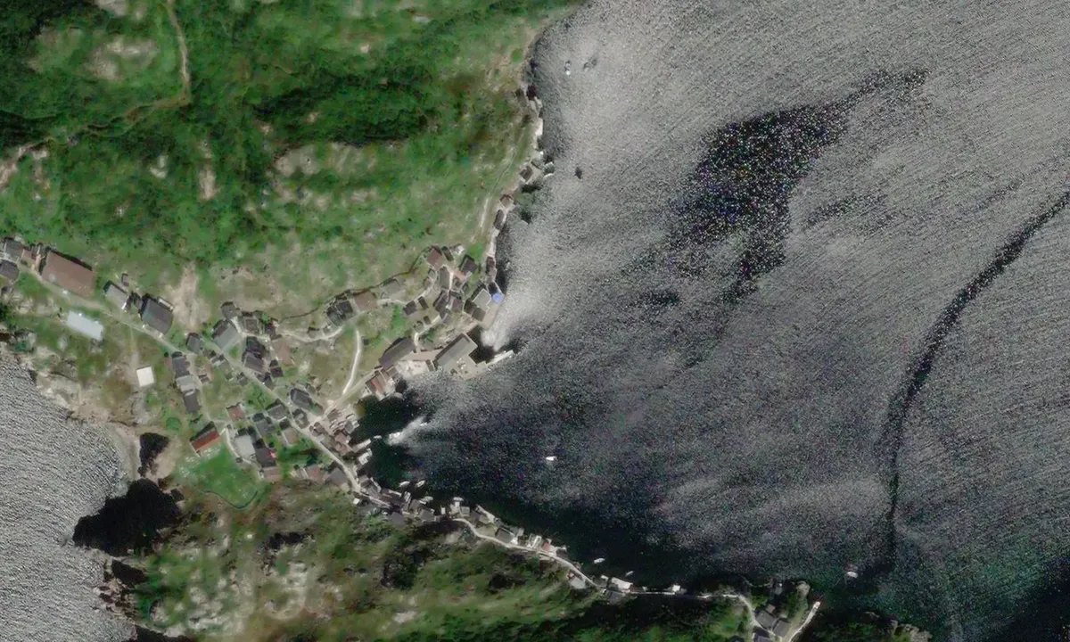 Satelite image of Bonne Bay  Mc Callum