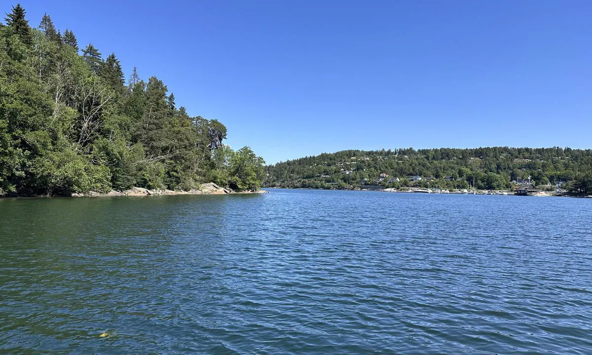 Bonnebukta: {"base": "no", "no": "\u00d8st mot Nesset", "se": "\u00d6st mot Nesset", "en": "East towards Nesset", "da": "\u00d8st mod Nesset", "fr": "\u00c0 l'est vers Nesset", "de": "Ost Richtung Nesset", "es": "Este hacia Nesset", "it": "Est verso Nesset", "pt": "Leste em dire\u00e7\u00e3o a Nesset", "nl": "Oostwaarts naar Nesset", "pl": "Na wsch\u00f3d w kierunku Nesset", "uk": "\u0417\u0430\u0445\u0456\u0434 \u0434\u043e \u041d\u0435\u0441\u0435\u0442", "ro": "Est c\u0103tre Nesset", "tr": "Do\u011fuya Nesset'e do\u011fru", "el": "\u0391\u03bd\u03b1\u03c4\u03bf\u03bb\u03b9\u03ba\u03ac \u03c0\u03c1\u03bf\u03c2 Nesset", "cs": "V\u00fdchodn\u011b sm\u011brem k Nessetu", "hu": "Kelet fel\u00e9 Nesset ir\u00e1ny\u00e1ba", "fi": "It\u00e4\u00e4n kohti Nesseti\u00e4", "bg": "\u0418\u0437\u0442\u043e\u043a \u043a\u044a\u043c \u041d\u0435\u0441\u0435\u0442", "sr": "Isto\u010dno ka Nessetu", "et": "Ida suunas Nesseti juurde", "lv": "Austrumos pret Nesset", "lt": "Rytai link Nesset"}